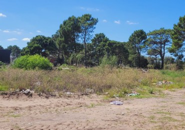 Excelentes Lotes Industriales en Ostende para construir galpones