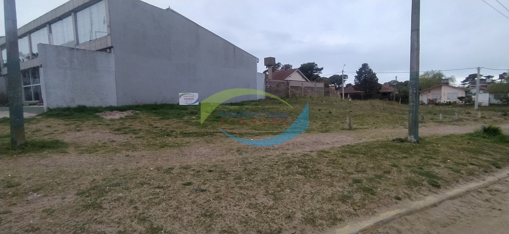 LOTE 