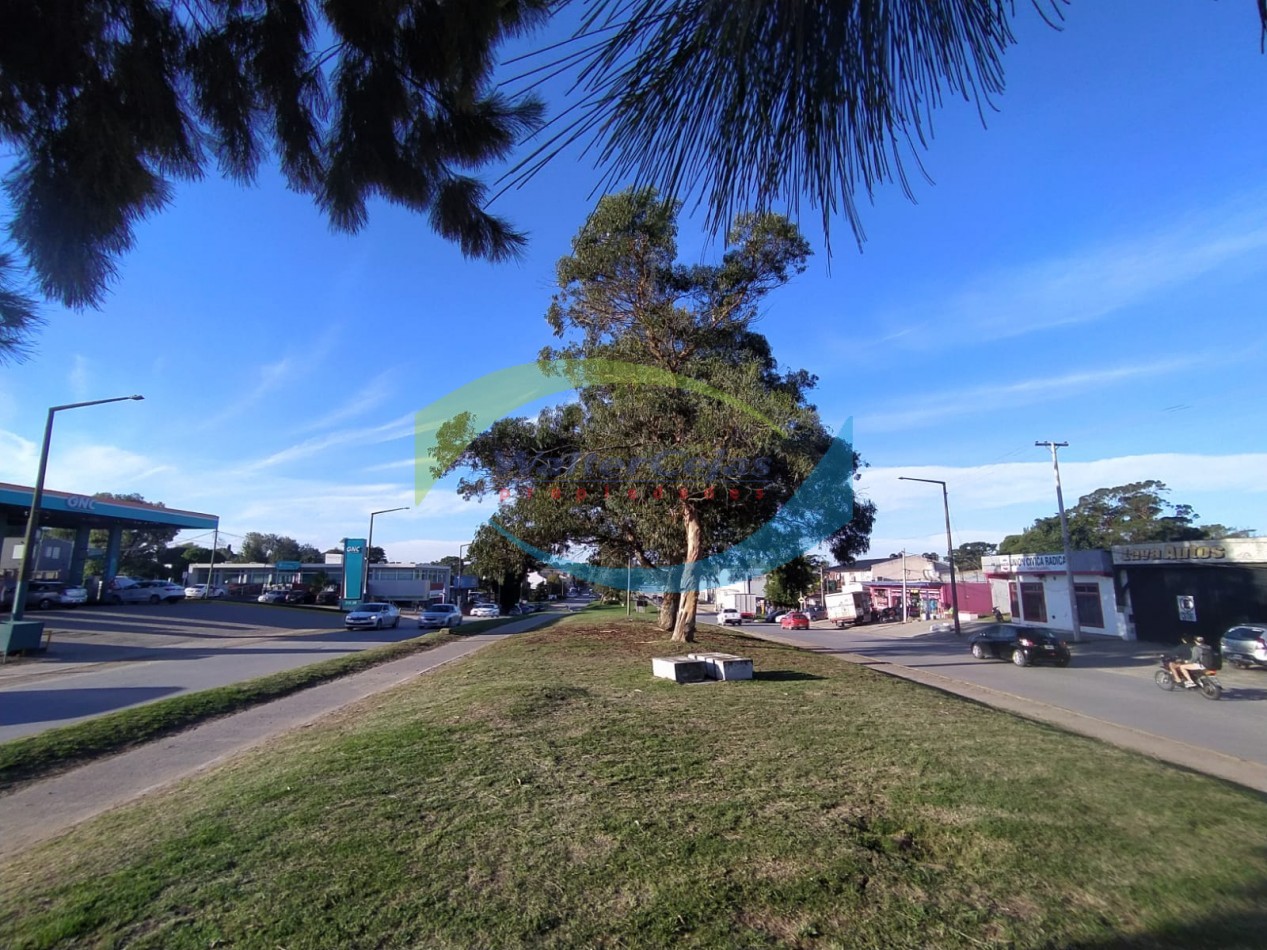 LOTE 