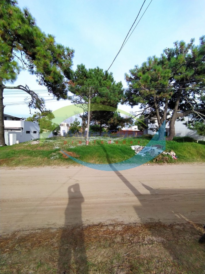 LOTE 
