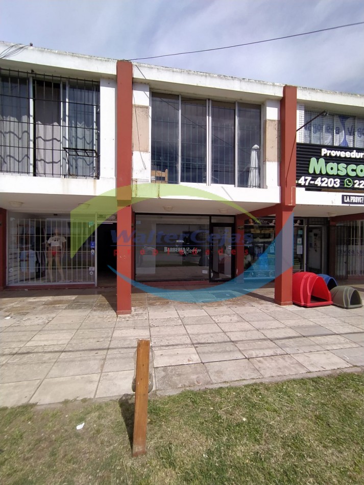 Local comercial en Alquiler 