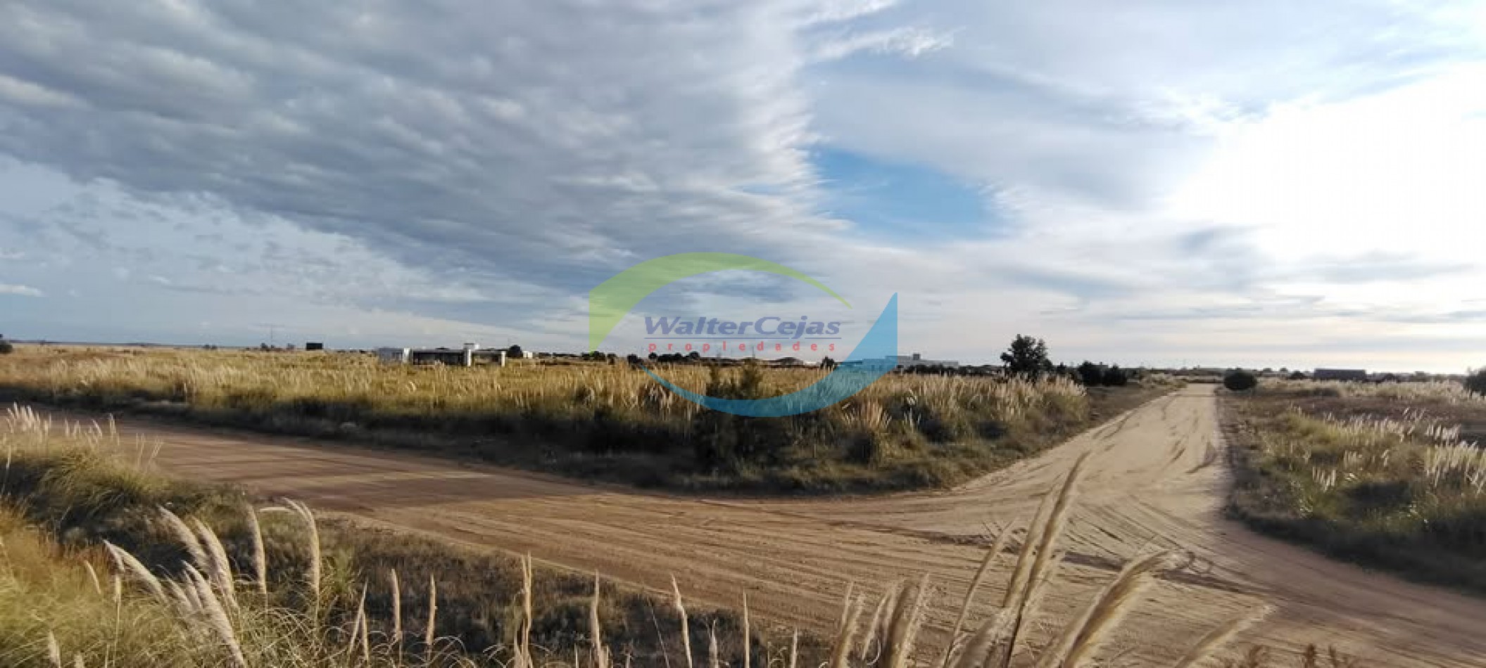 LOTE