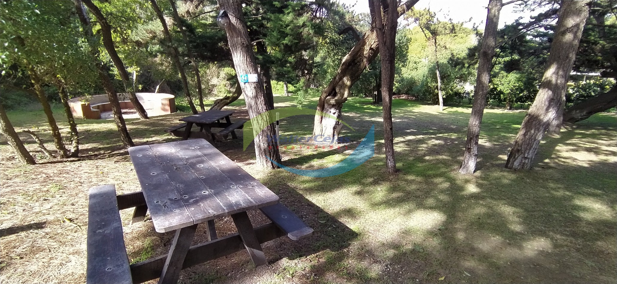 DEPARTAMENTO 3 AMBIENTES 