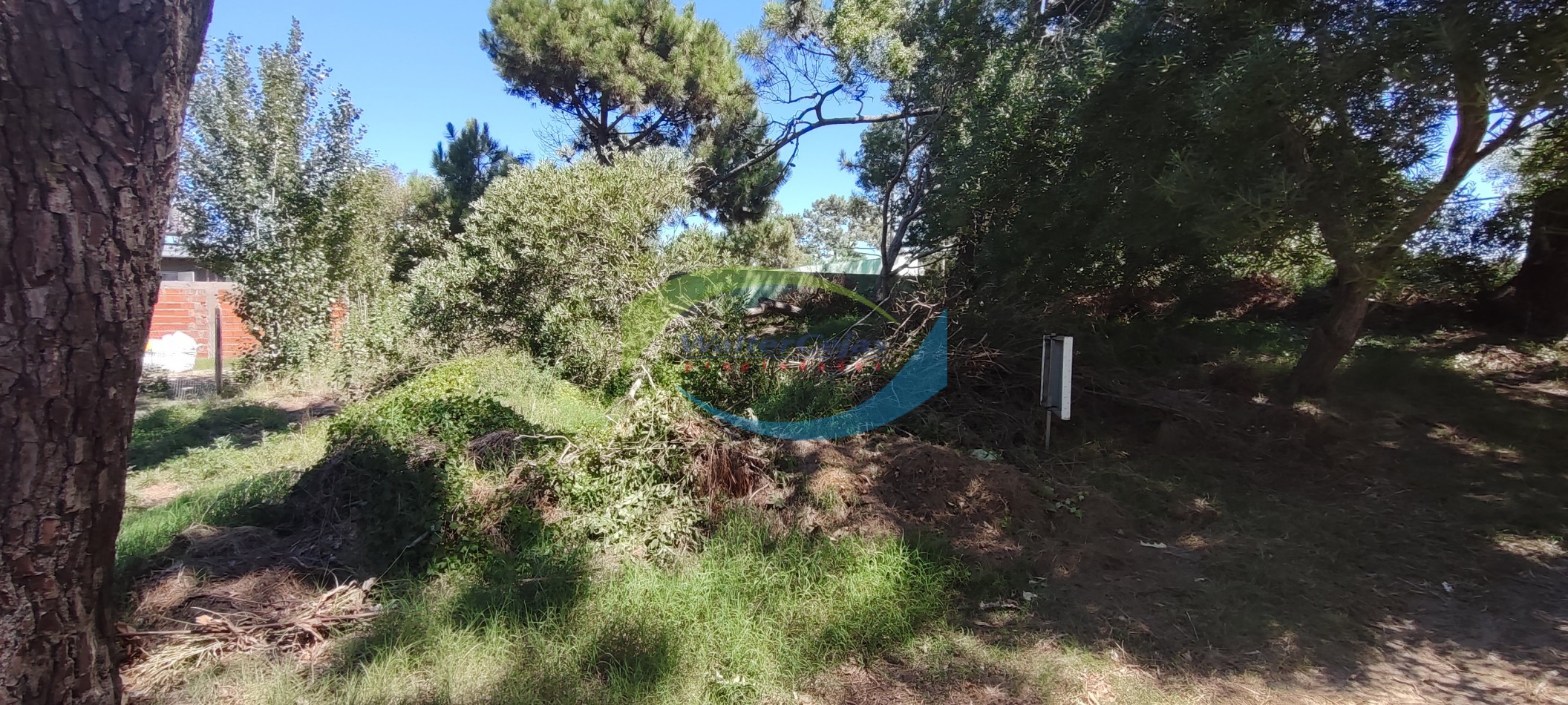lote (P.H)