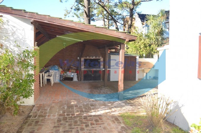 Hipocampo Unidad Funcional 174