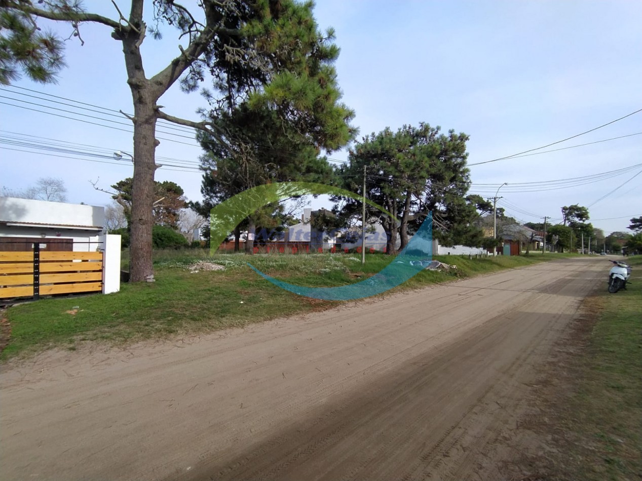 LOTE 