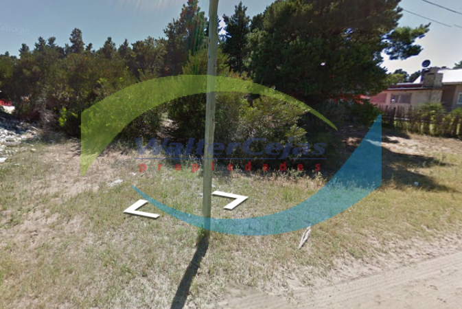 LOTE