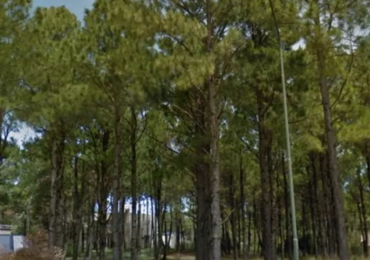 Lote unifamiliar en LA FRONTERA PINAMAR NORTE