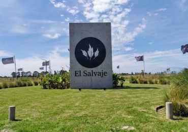  EL SALVAJE - LOTE EN VENTA 
