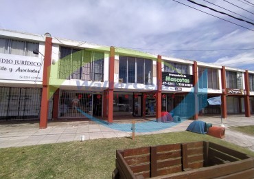 LOCAL