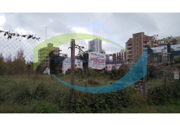 LOTE